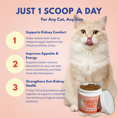 PaleoPets Advanced Cat Probiotic