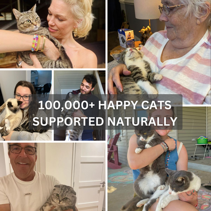 PaleoPets Advanced Cat Probiotic